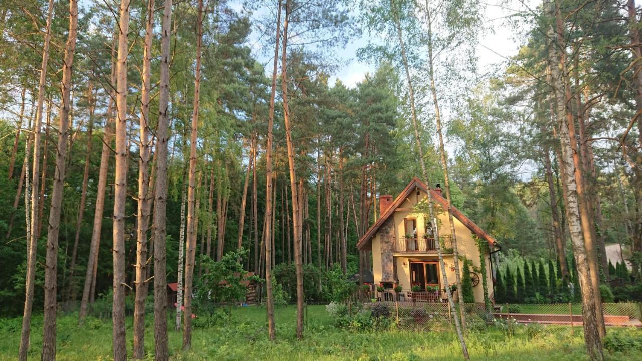 Dom Na Skraju Lasu Villa Вилкаси Екстериор снимка